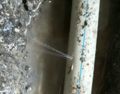 嘉鱼测漏水哪家好