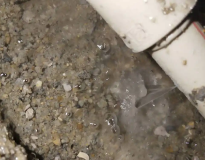 嘉鱼测漏水电话号码