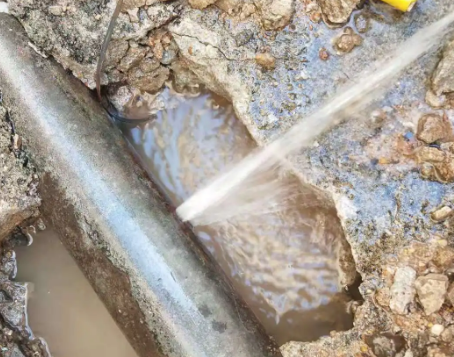 嘉鱼测漏水公司