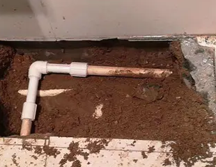 嘉鱼测漏水哪家好