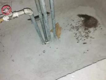 嘉鱼卫生间测漏水价格明细