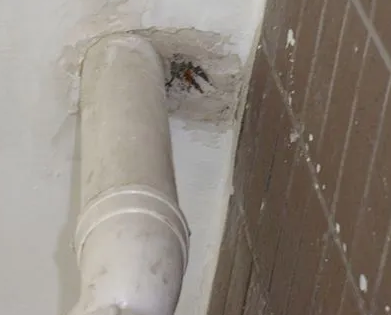 嘉鱼漏水检测哪家好